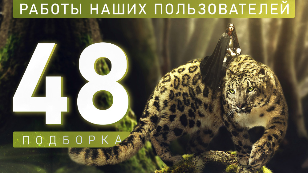 Работы наших пользователей - Подборка №48 - итоги голосования