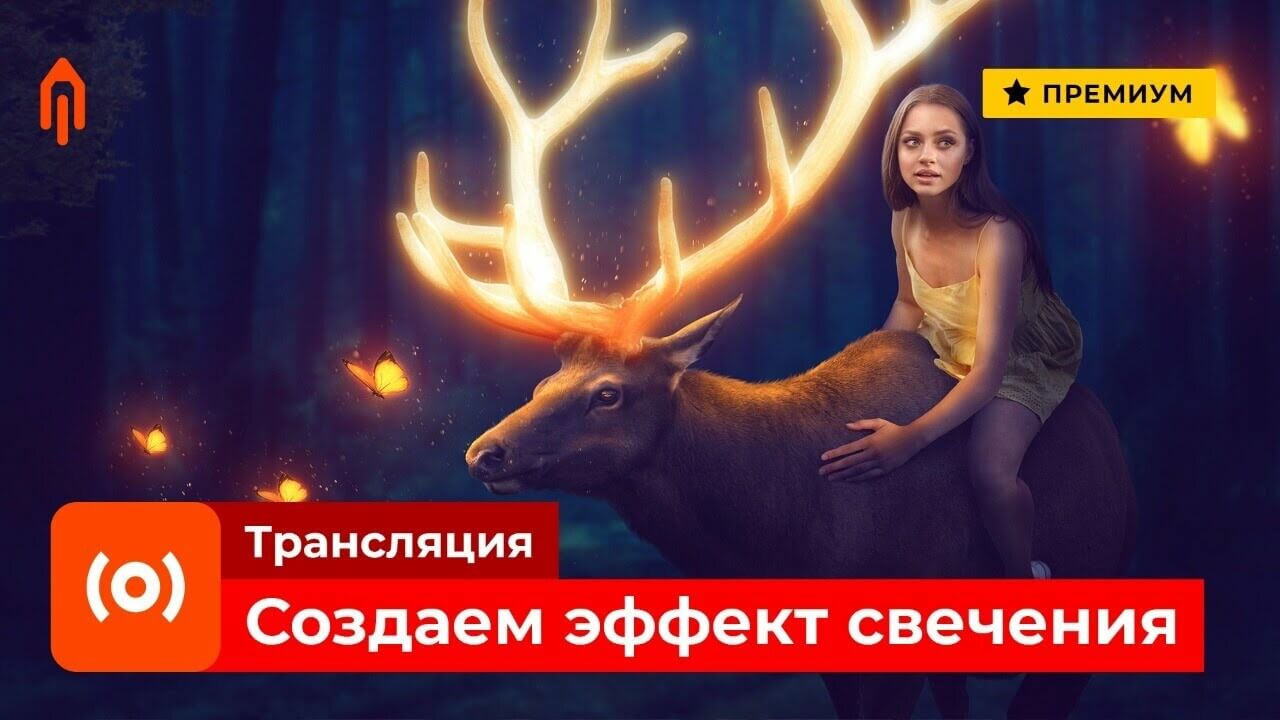 Расписание активностей на всю неделю с 23 по 29 ноября.