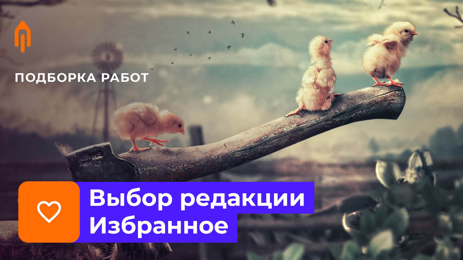 Выбор редакции. Избранное #3