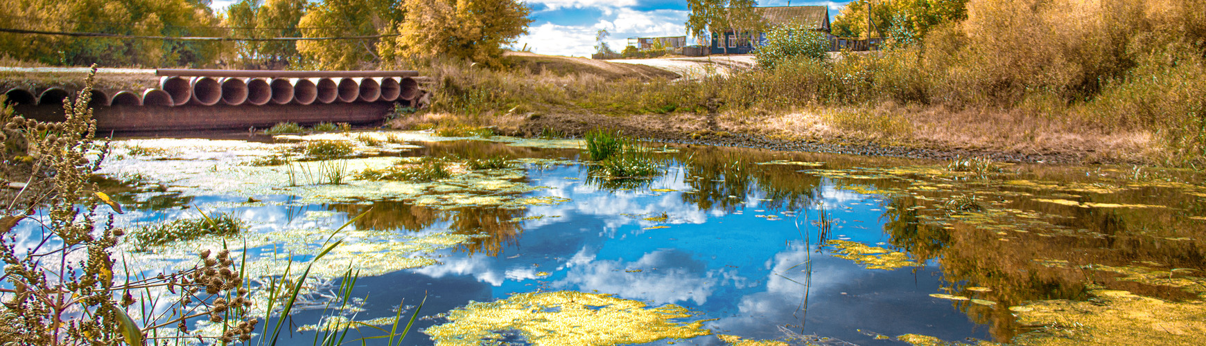 Анатолий Кущ