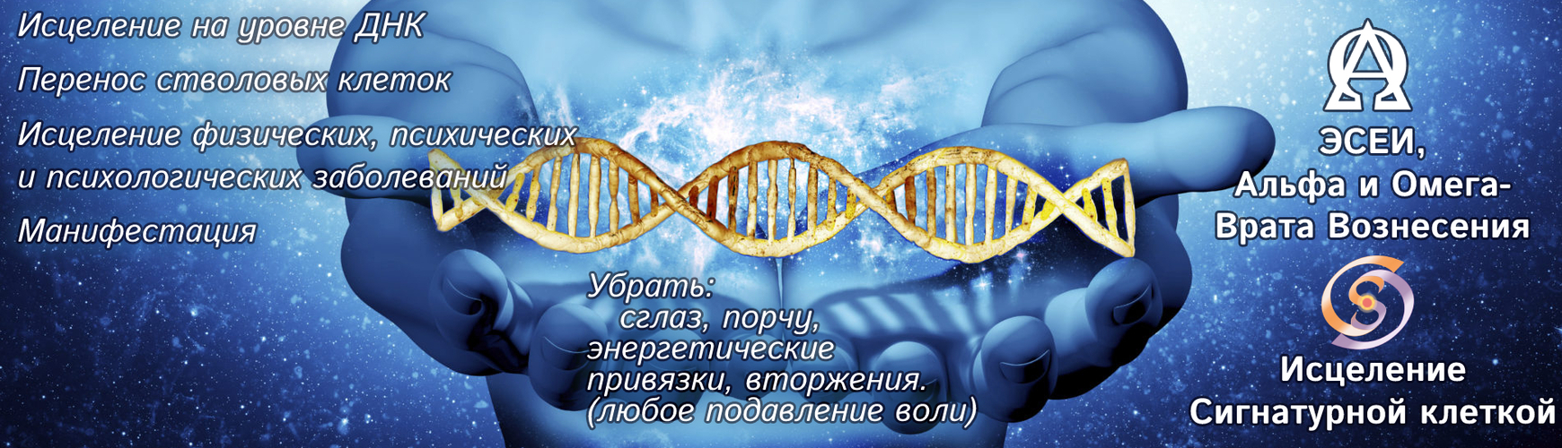 Дмитрий Торжиков