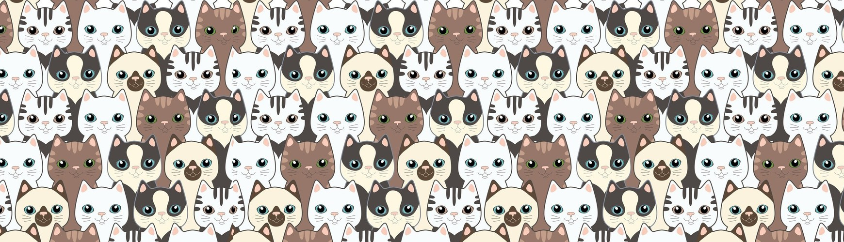 meyn_coon