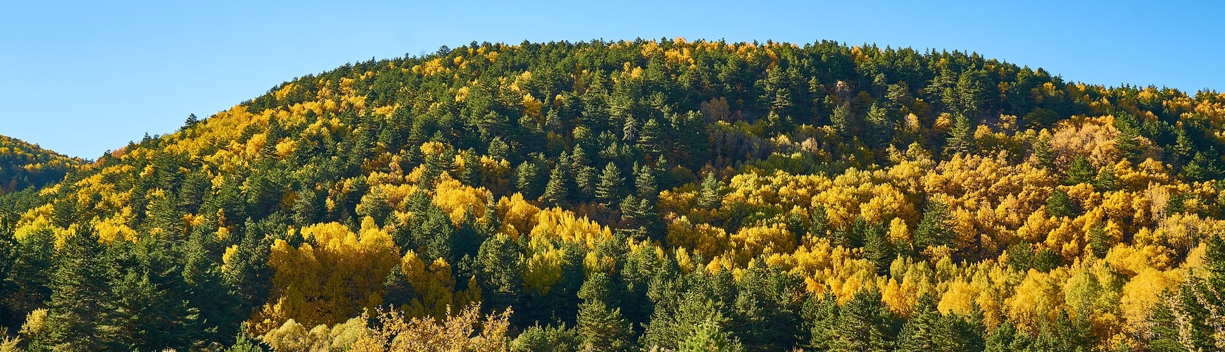 TaSamayaOsa